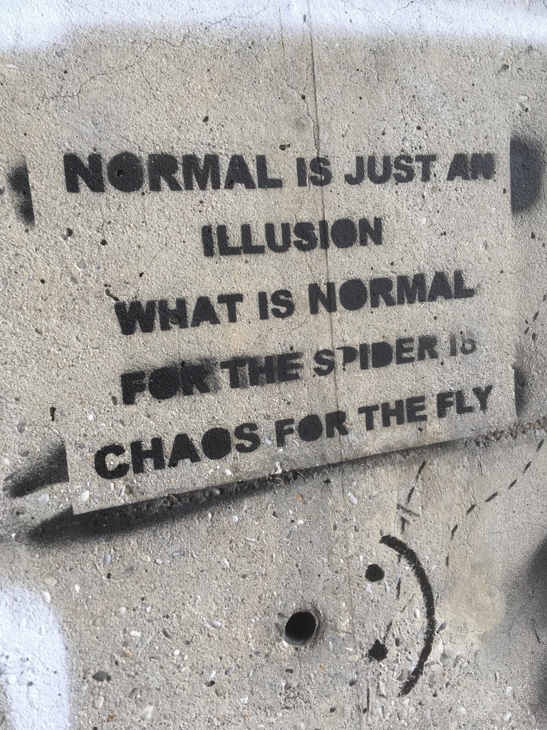 La normalité est juste une illusion. Ce qui est normal pour l’araignée est chaos pour la mouche